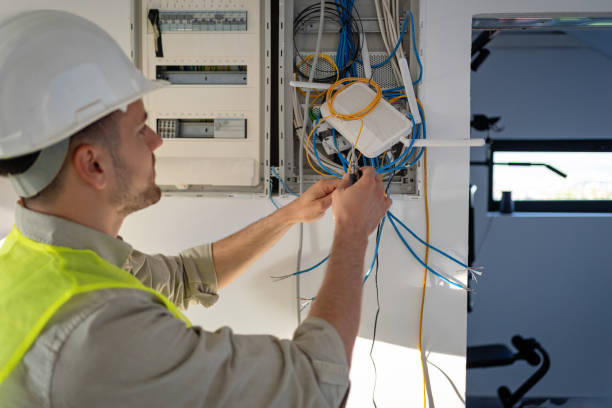 Best Electric Panel Repair  in Cape Coral, FL
